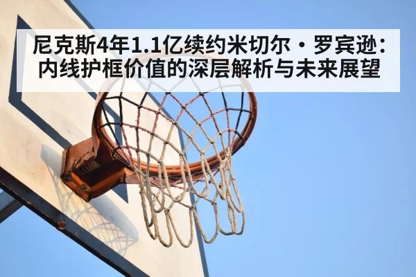 basketball rim protection